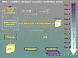 Diapositiva15 * RR Associated Brains * 720 x 540 * (40KB)