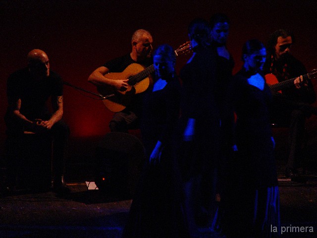 DSC03500-1224046 
