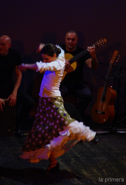 DSC03556225134 