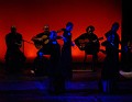 DSC03501223826