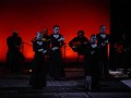 DSC03502-1223610 