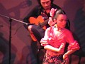 Istantanea video 11