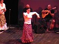 Istantanea video 6 