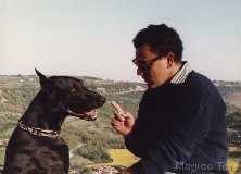 Clicca per vedere l'immagine originale