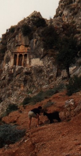 Clicca per vedere l'immagine originale