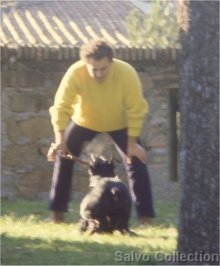 Clicca per vedere l'immagine originale