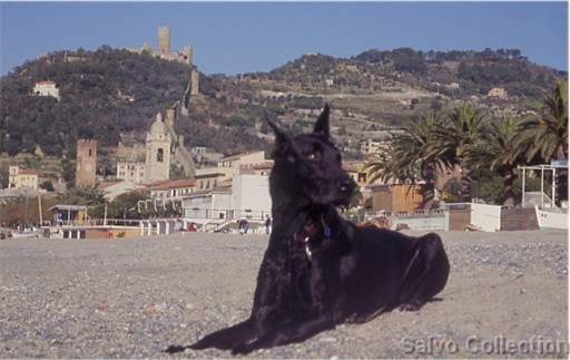 Clicca per vedere l'immagine originale