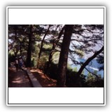 PASSEGGIATAAMORECAPRI